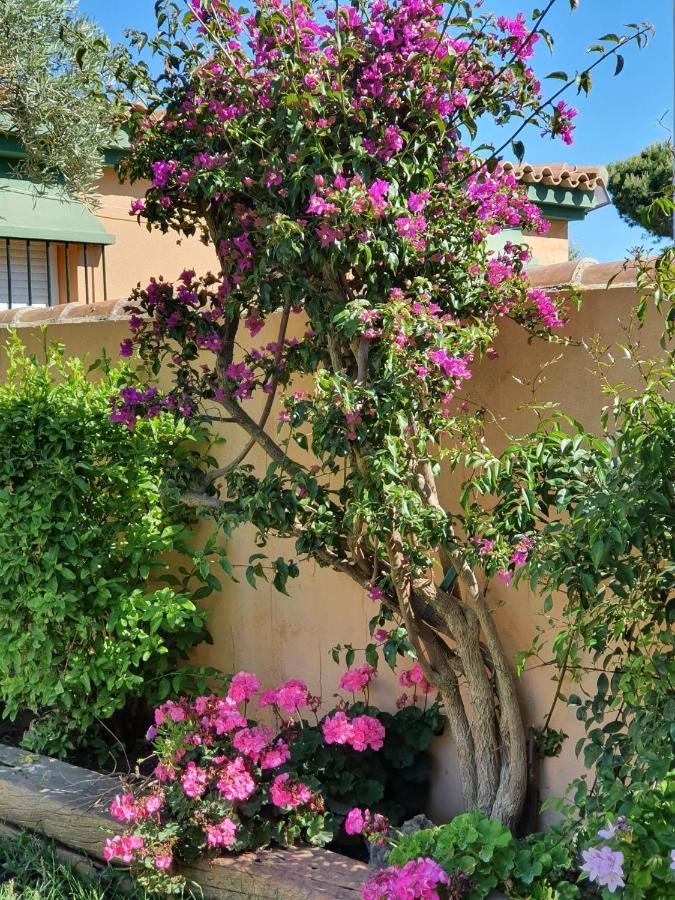 Villa Ostrero Chiclana de la Frontera Kültér fotó